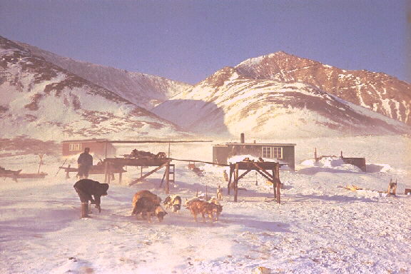 Siorapaluk, verdens nordligste..